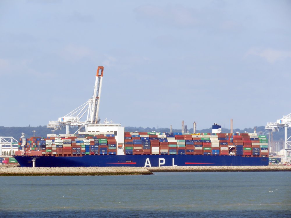 APL Vanda