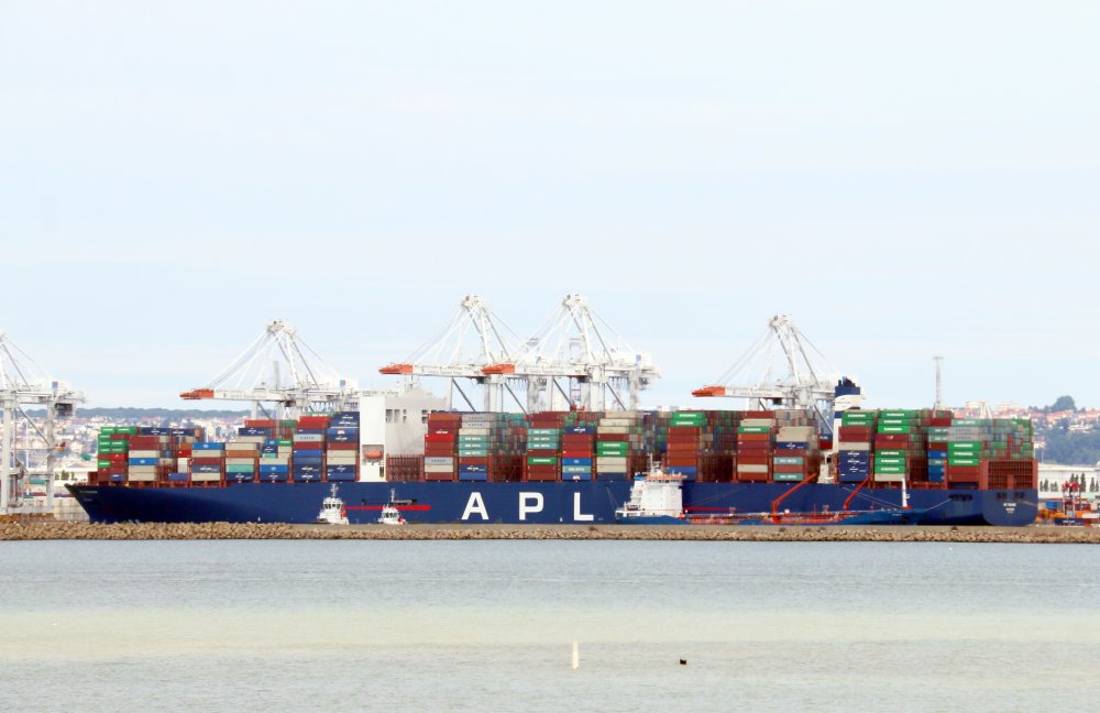 APL Temasek
