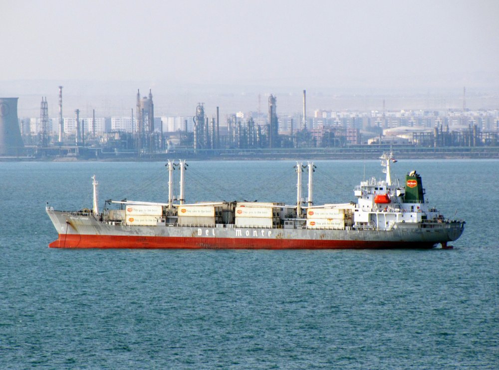 Sevilla Carrier