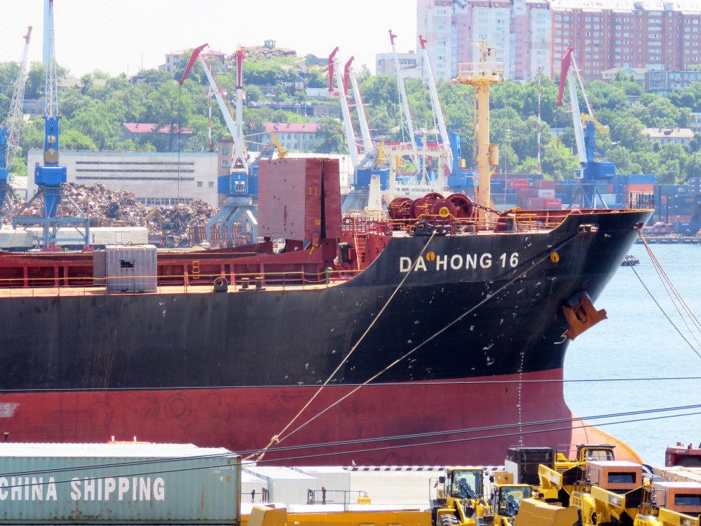 Da Hong 16
