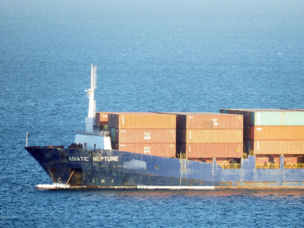 Asiatic Neptune