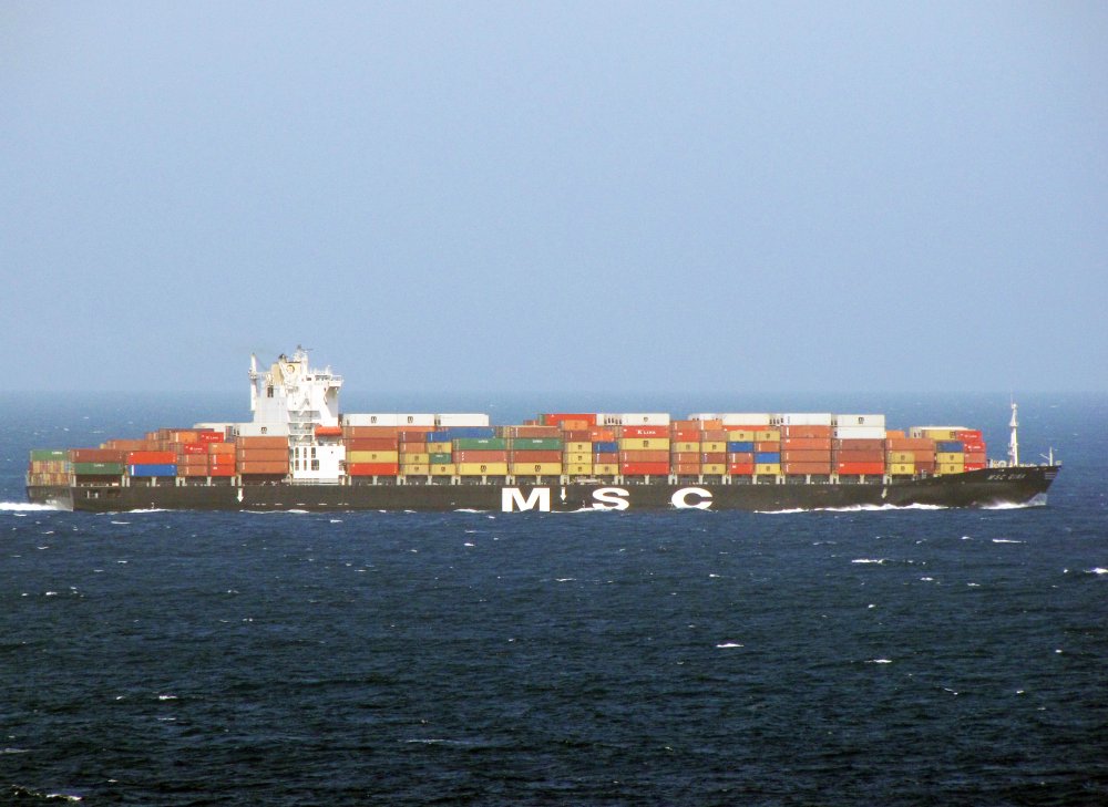 MSC Gina