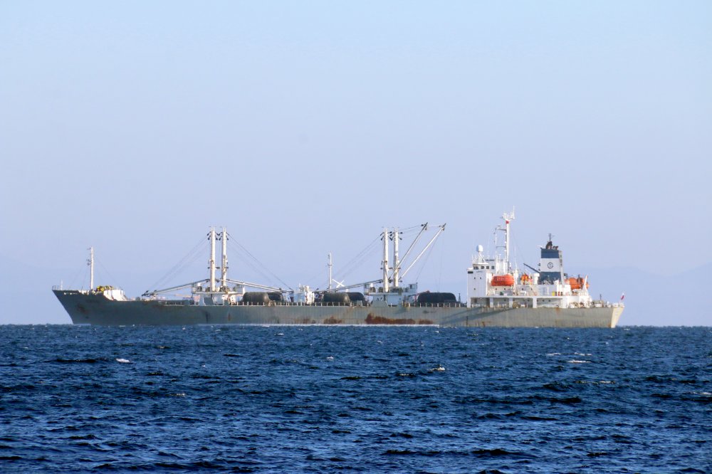 Volkhov