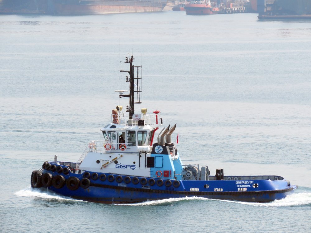 Gisas VIII