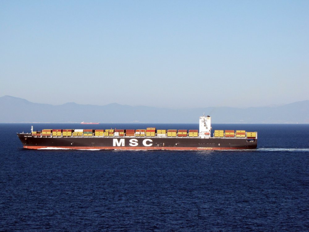 MSC Esthi