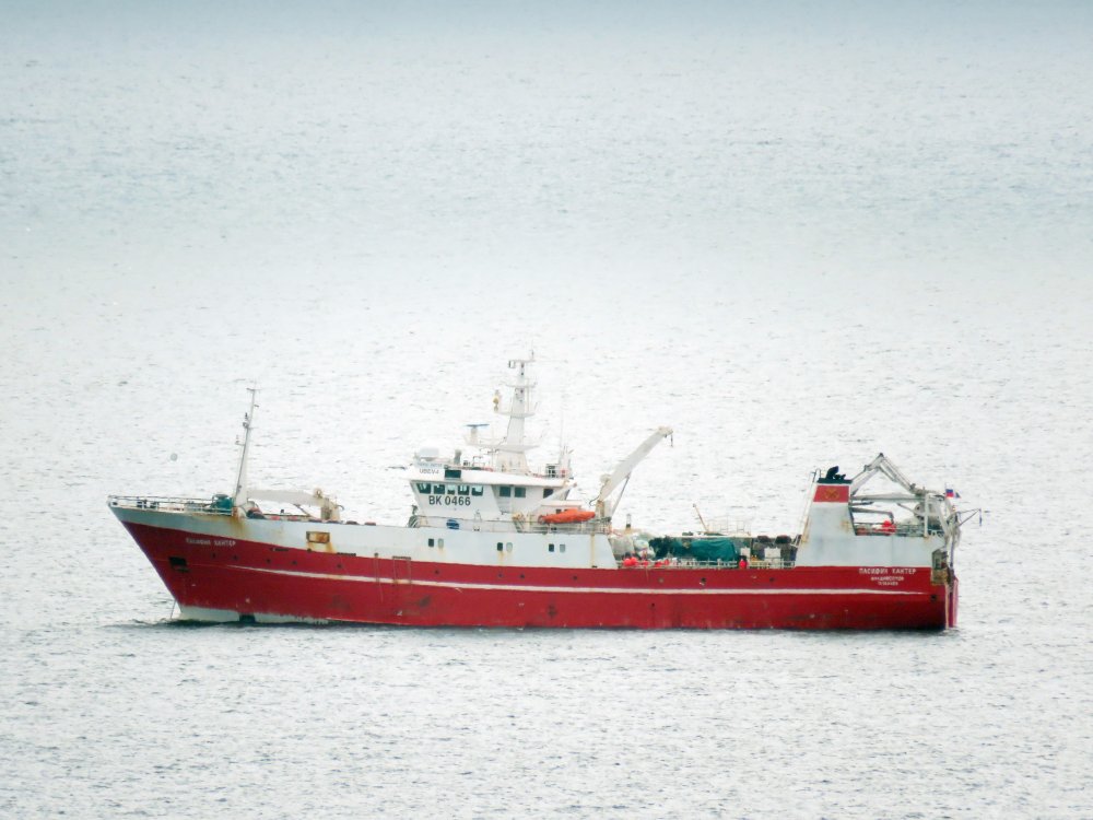 Pacific Hunter