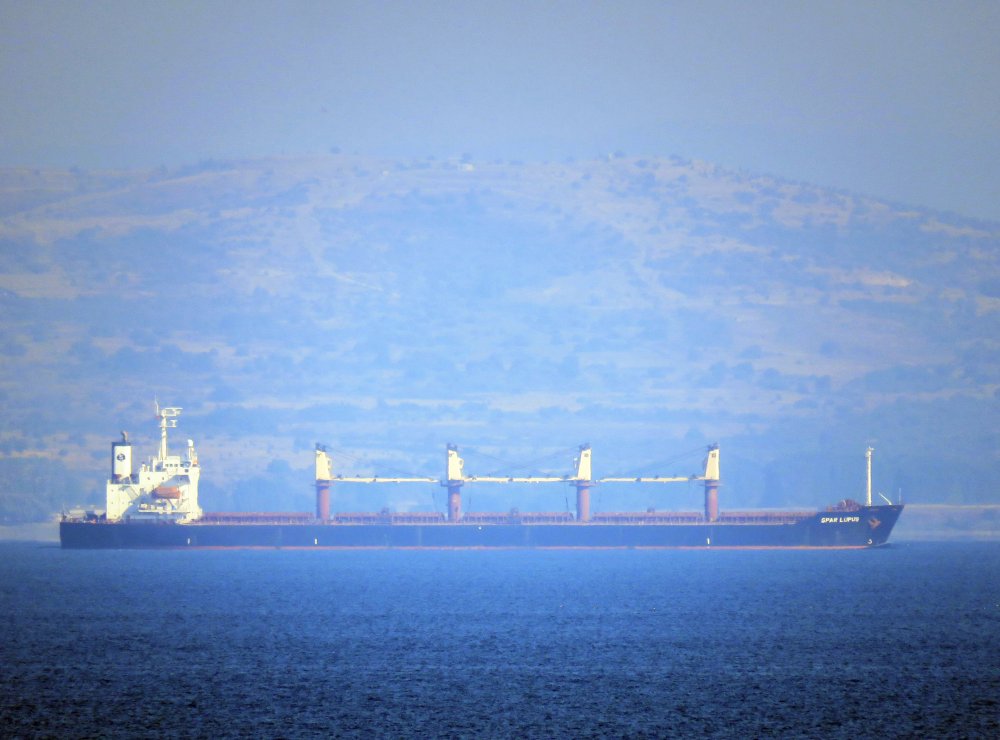 Spar Lupus