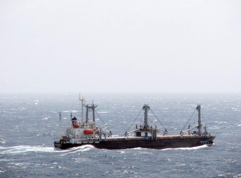 Timber Trader IX