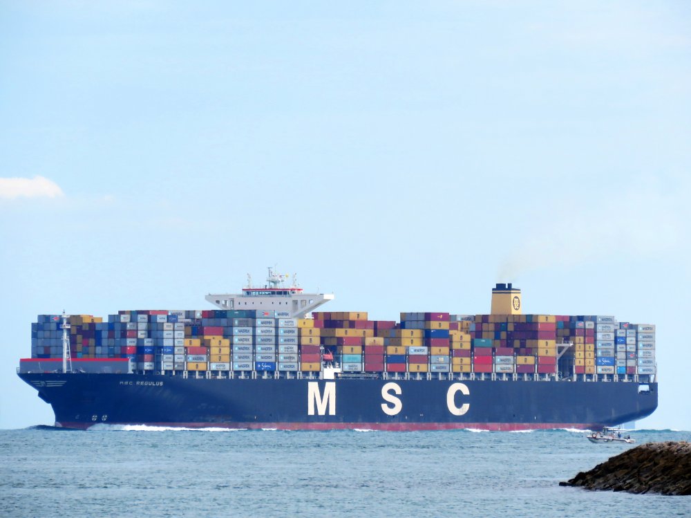 MSC Regulus