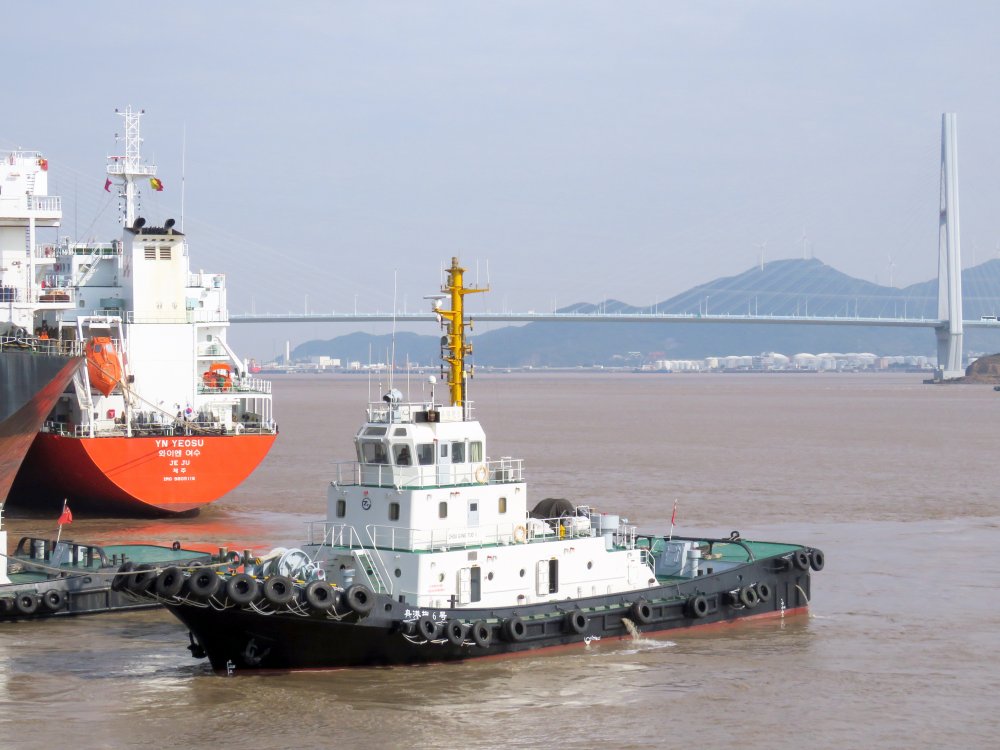 Zhou Gang Tuo 6
