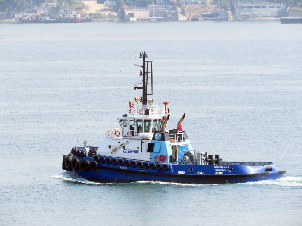 Gisas VIII