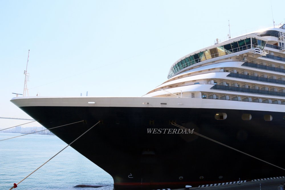 Westerdam
