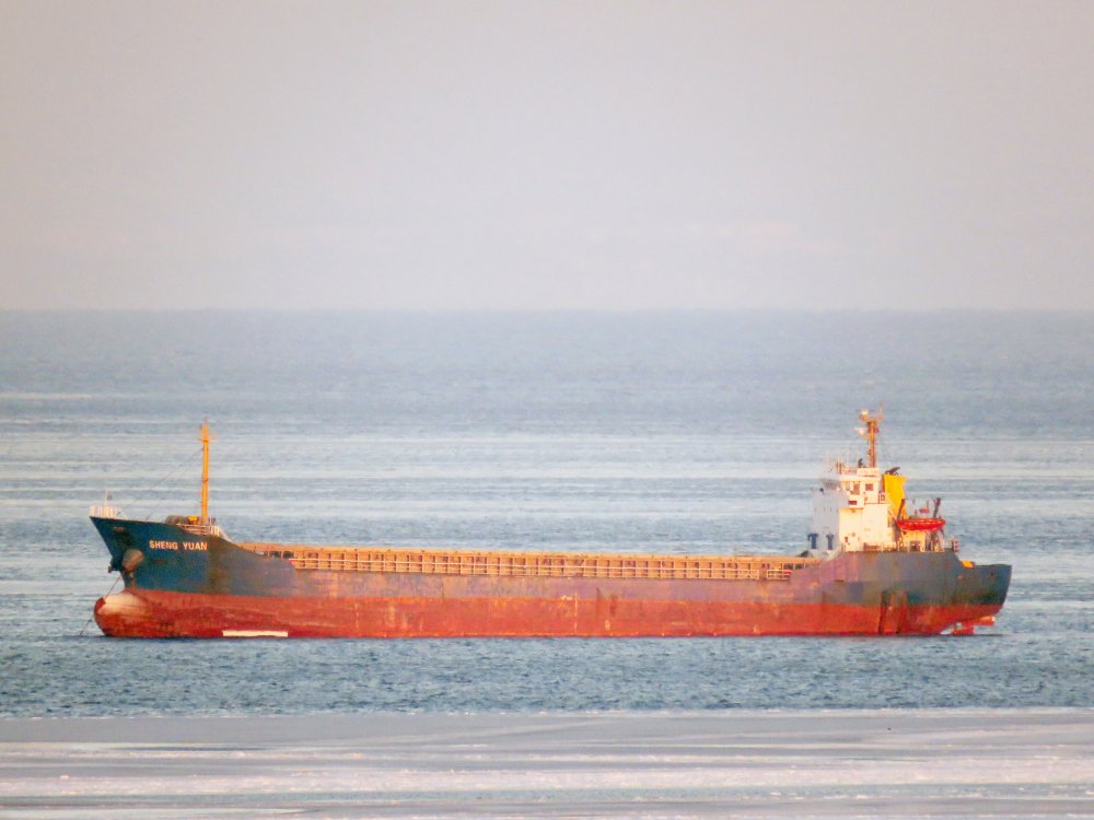 Sheng Yuan