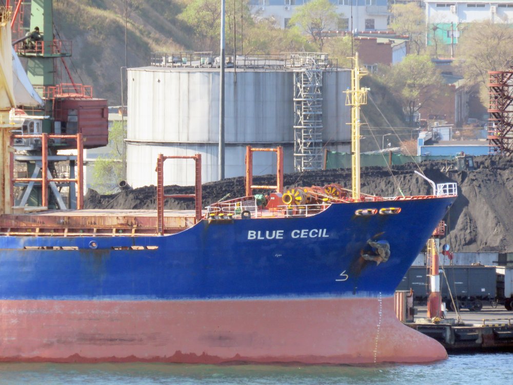 Blue Cecil