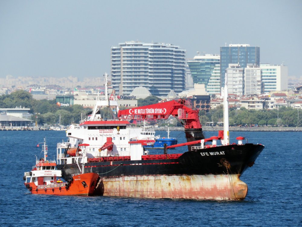 Efe Murat