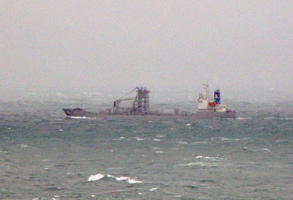 Jin Yang