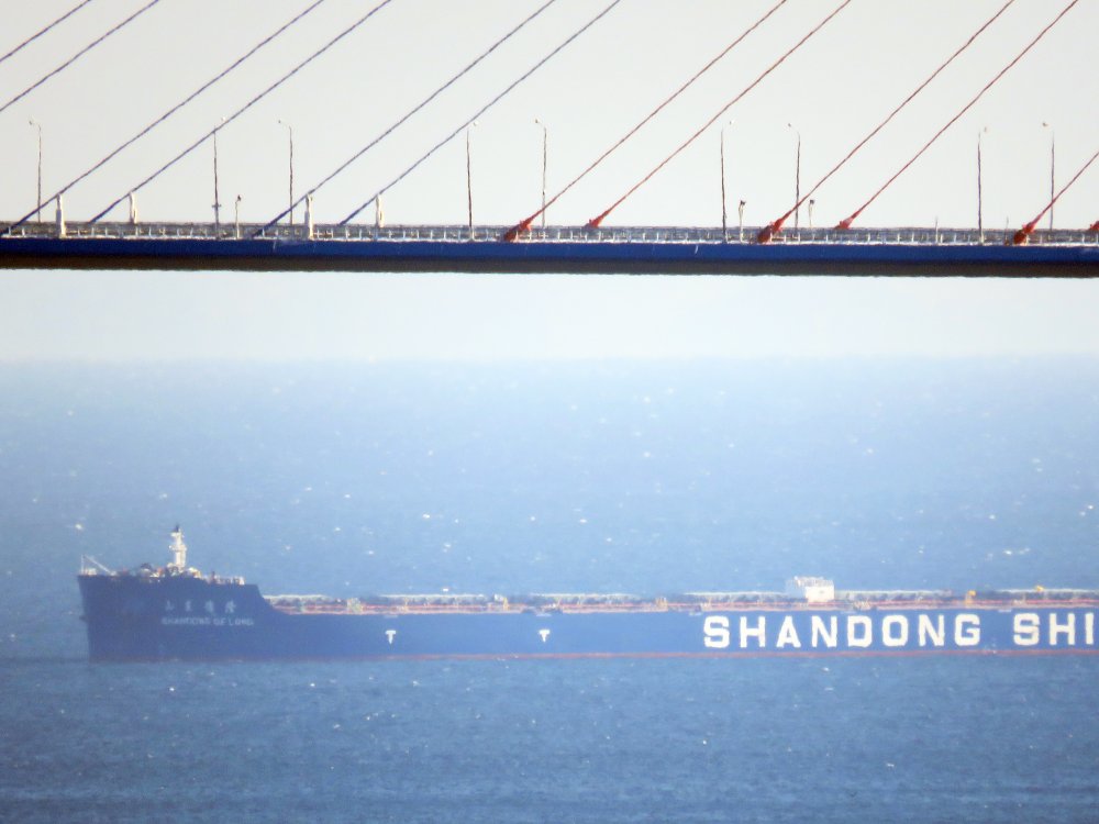 Shandong De Long