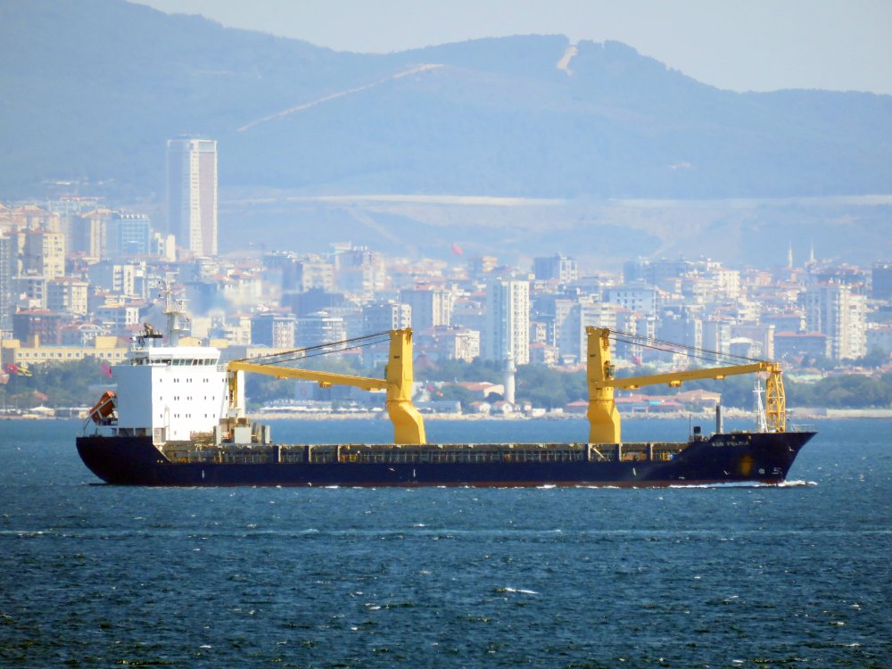 ABB Felina