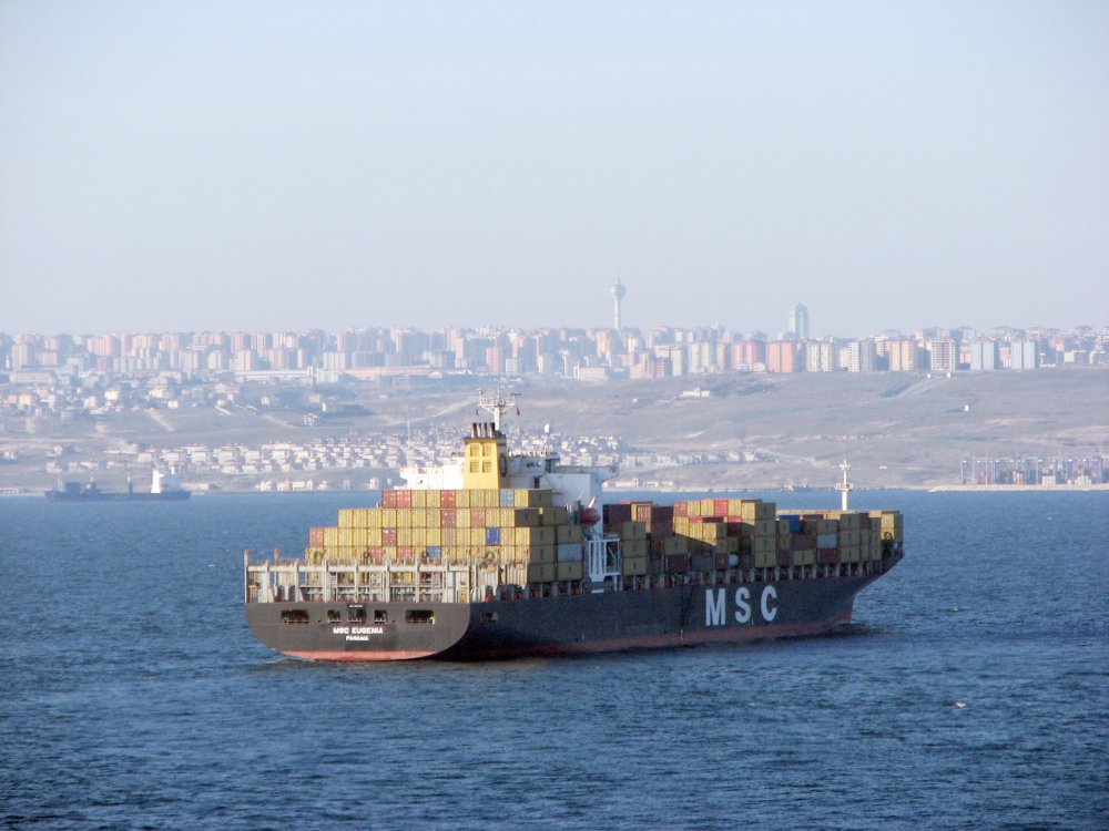 MSC Eugenia