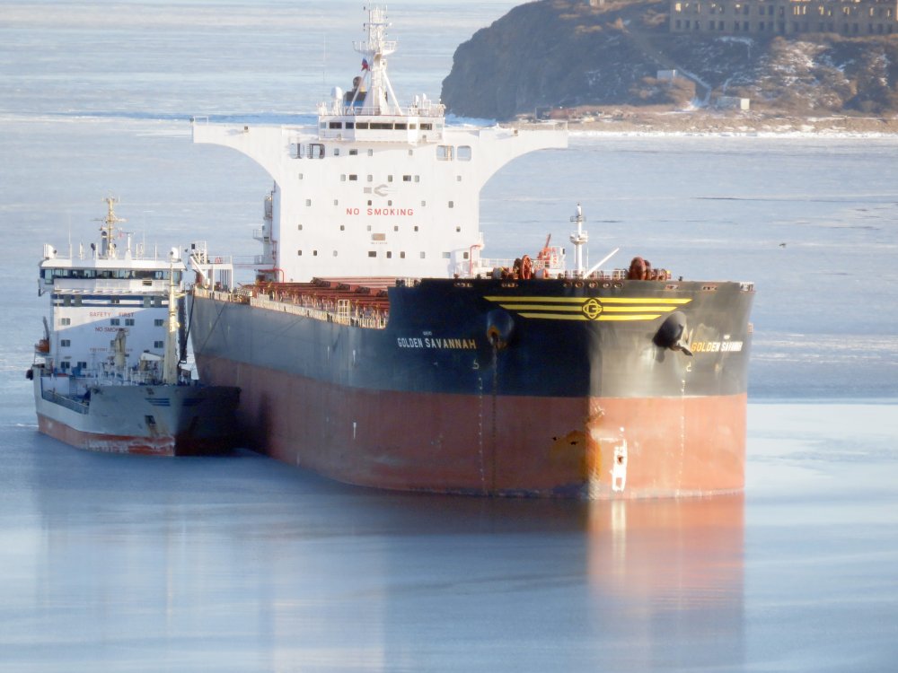 Golden Savannah