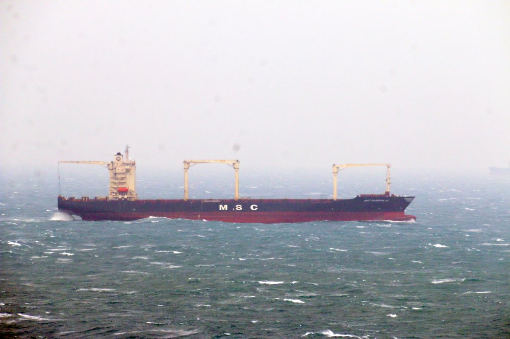 MSC Hanisha III