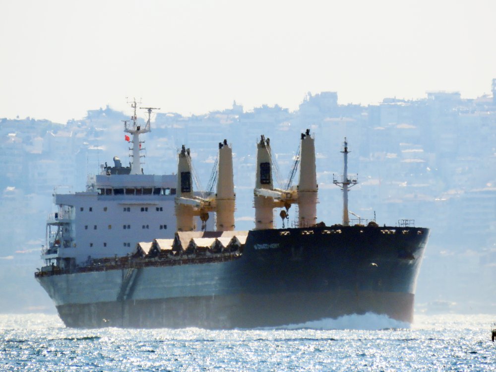N Discovery