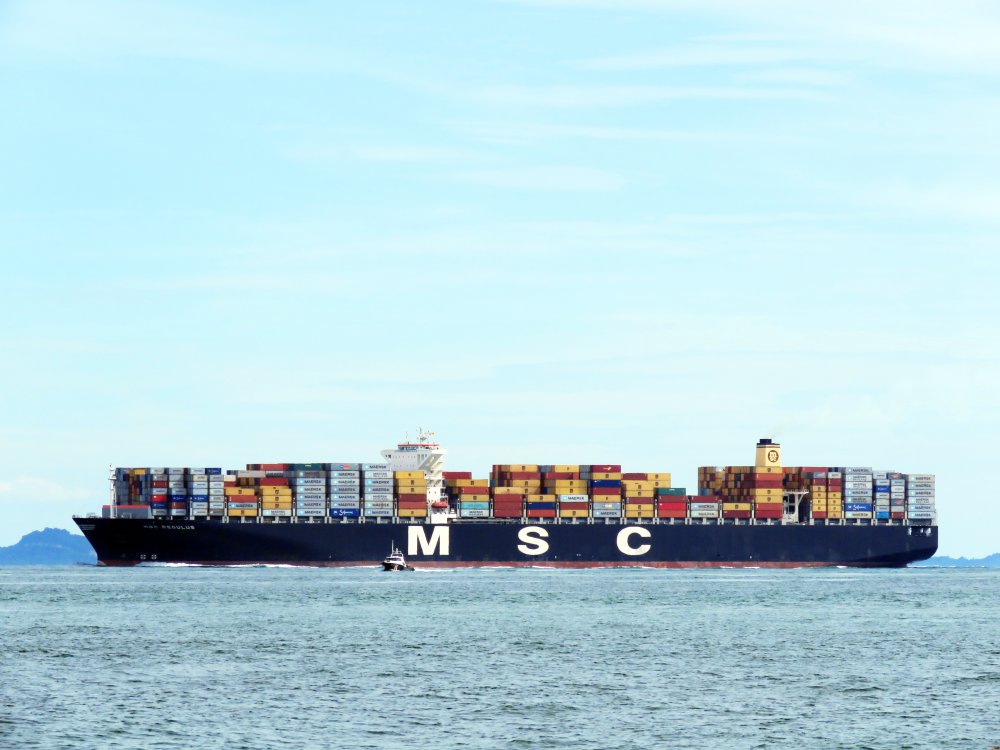 MSC Regulus