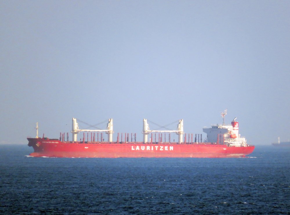 Hokkaido Bulker