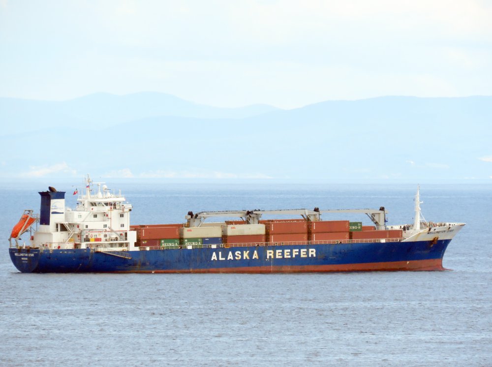 Wellington Star