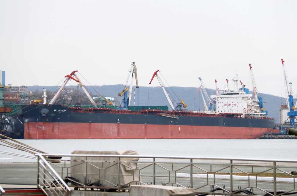 DL Acacia