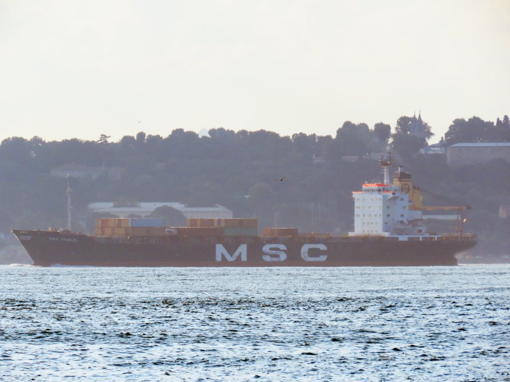 MSC Perle