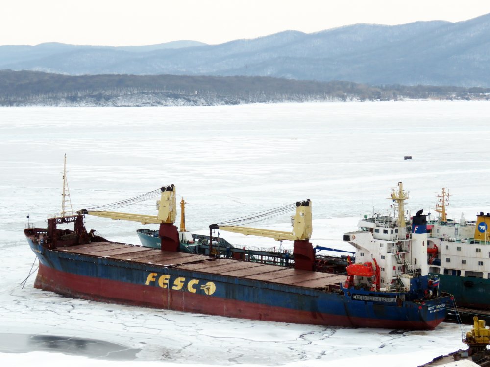 FESCO Primorye