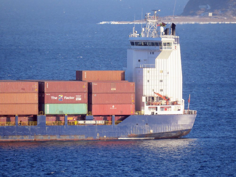 Asiatic Neptune