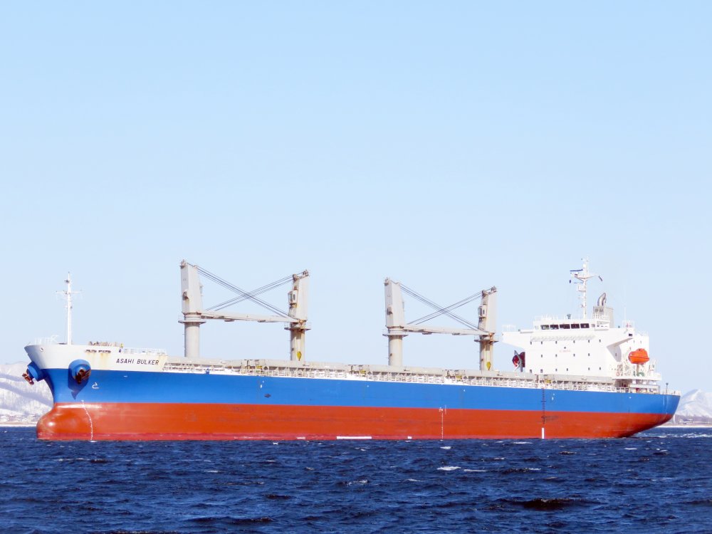 Asahi Bulker