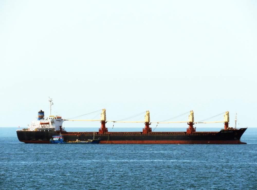 Mahmut Saka