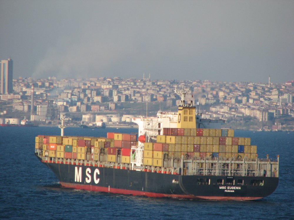 MSC Eugenia