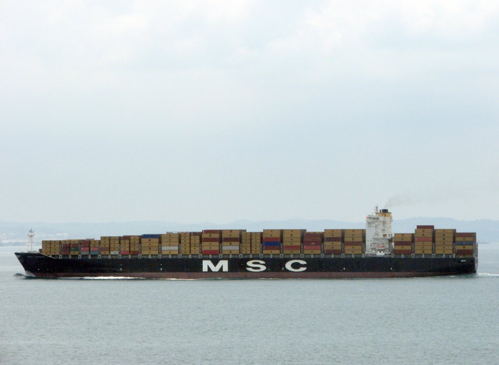 MSC Tomoko