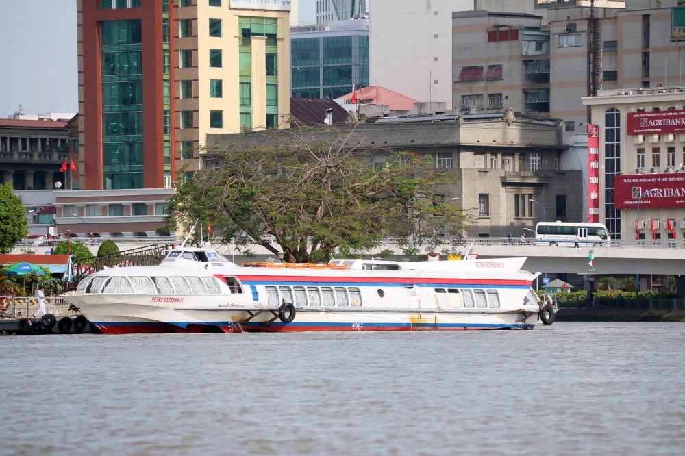 Petro Express 01