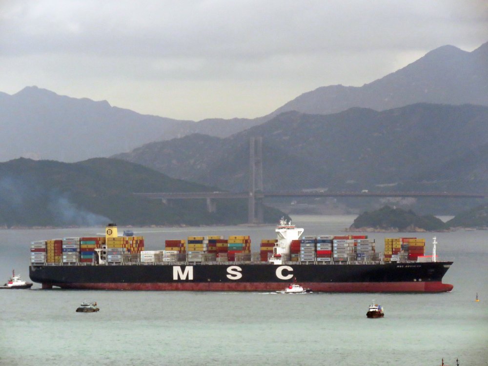 MSC Regulus