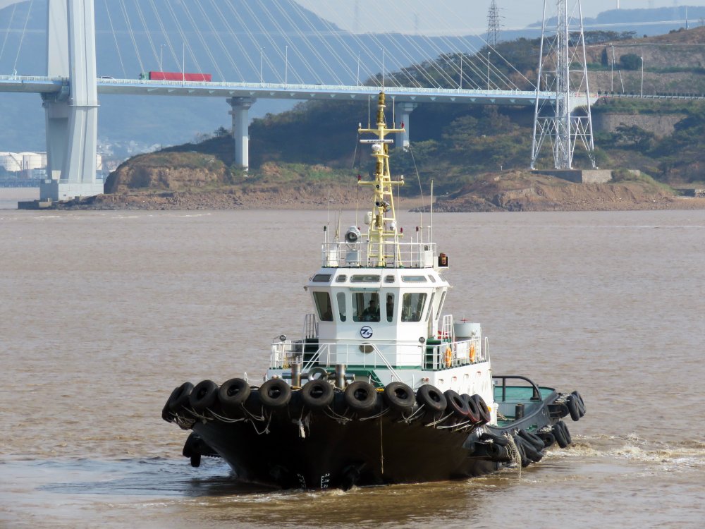 Zhou Gang Tuo 12