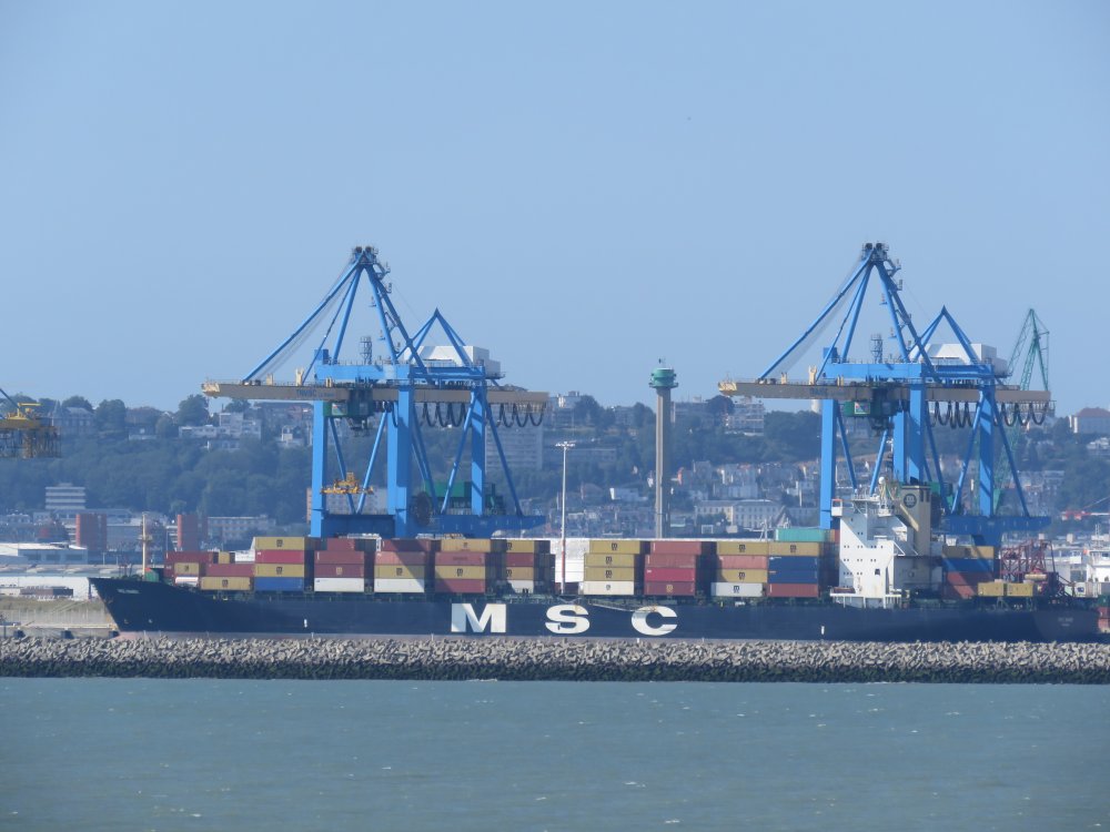 MSC Mandy