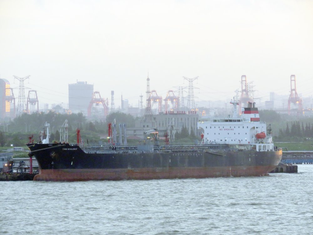 Torm Resilience