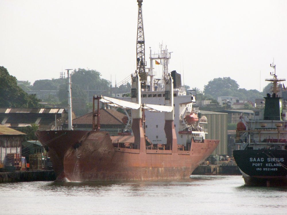 Elsin Rani