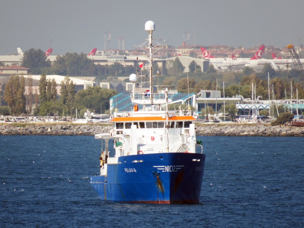 Pelagia