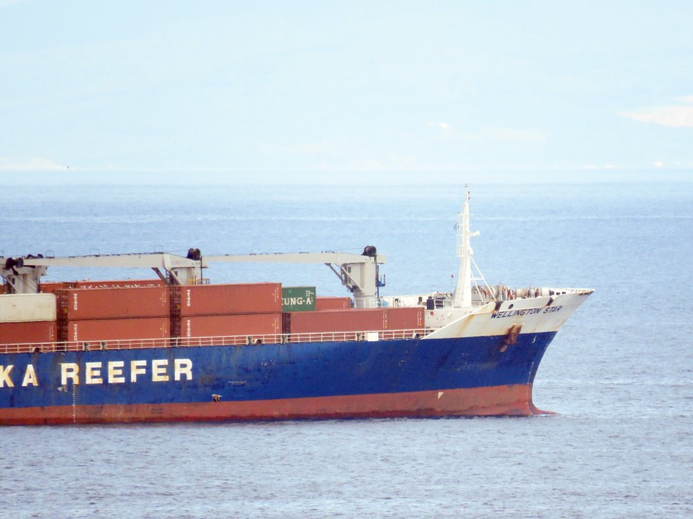 Wellington Star