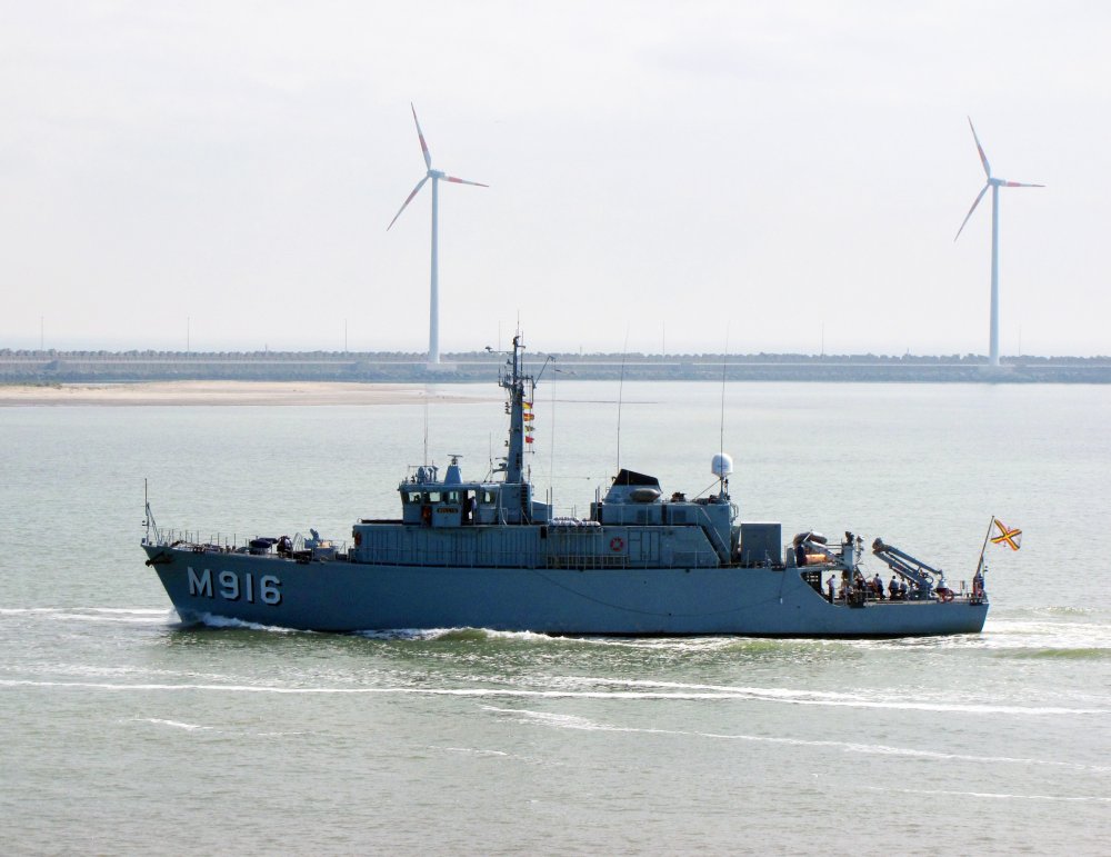 Bellis - M916