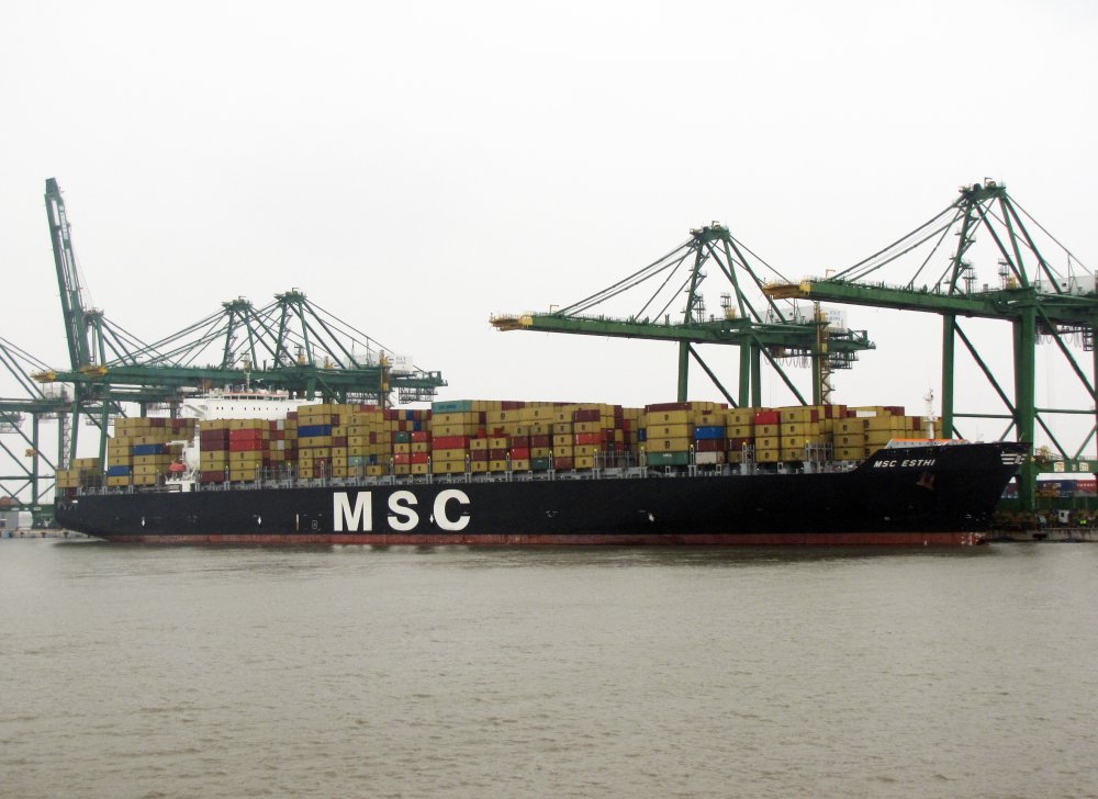 MSC Esthi