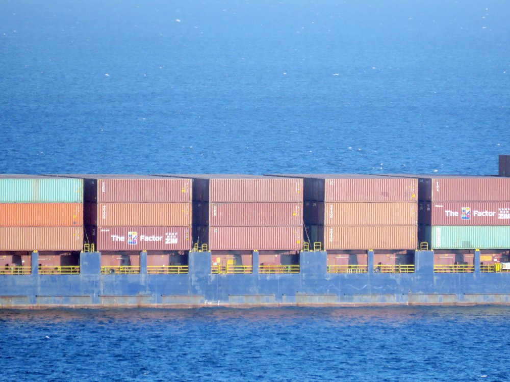 Asiatic Neptune