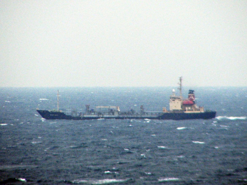 Sunny Giant