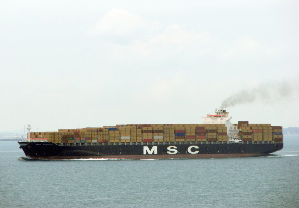 MSC Tomoko